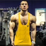 New Bodybuilding Stringer Tank Top Men Fitness Clothing Gyms Shirt Brand Muscle vest Workout Cotton Regatas Masculino